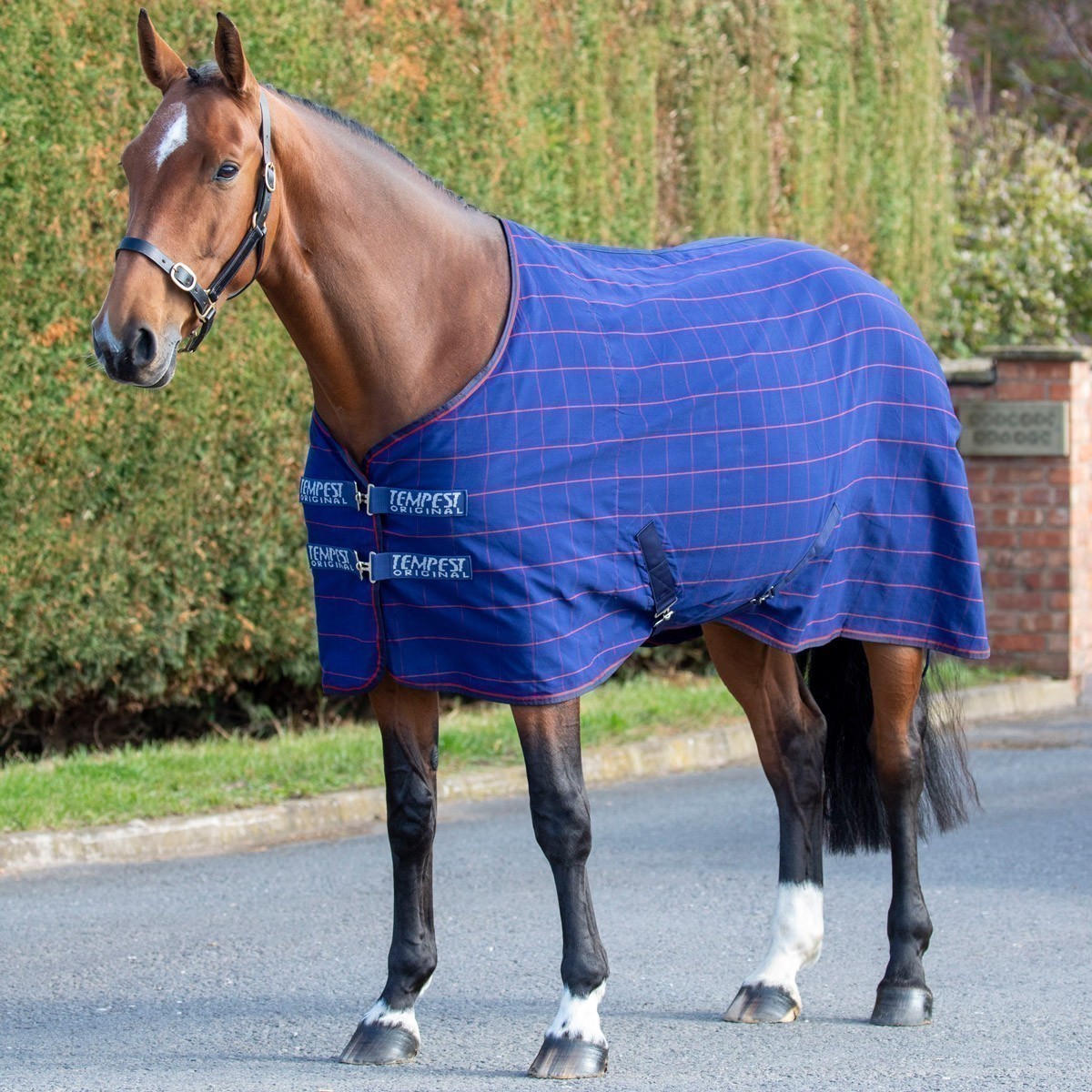 Shires Tempest Original Le Sheet Lightweight Turnout Rugs Orchard Equestrian Ltd