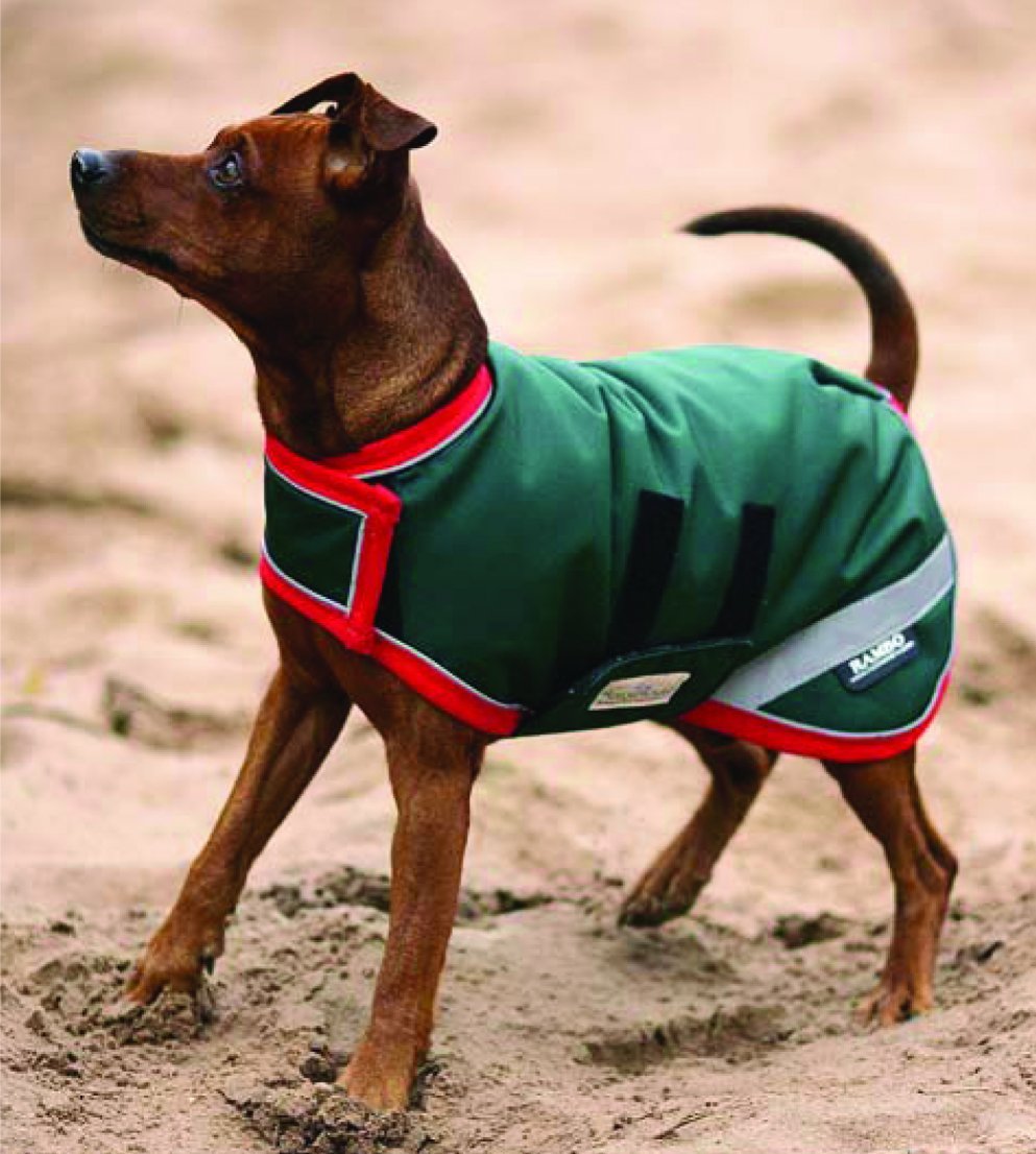 Horseware coats sale