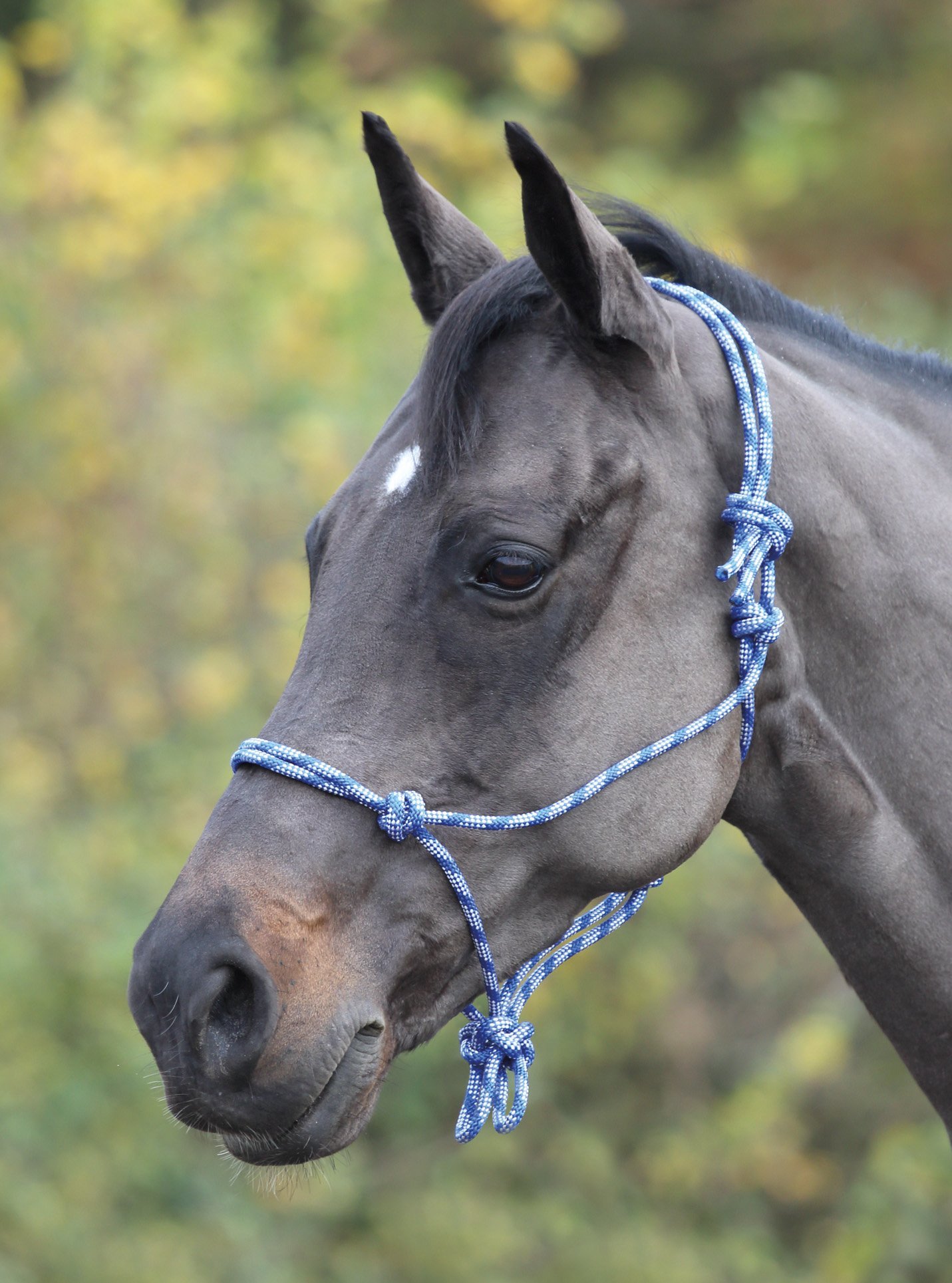 Shires Adjustable Rope Halter > Headcollars > Orchard Equestrian Ltd.