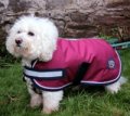 Dog Coats