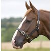 Shires Fully Adjustable Leather Headcollar
