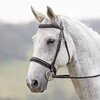 Shires Argenta Patent Dressage Bridle