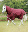 Premier Equine Buster 400G Turnout Rug With Snug-Fit Neck Cover