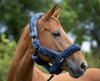 Cameo Deluxe Headcollar