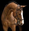 Horseware Rambo Micklem Competition Bridle