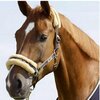 Eskadron Licol Classic Sport - peau de mouton