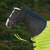 Waldhausen Reflex Bridle Set