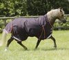 Premier Equine Buster Hardy - Pony