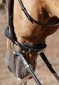 Premier Equine Verdura Anatomic Snaffle Bridle