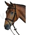 Collegiate Comfort Crown Padded Raised Flash Bridle