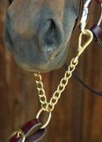 Celtic Equine Brass Newmarket Chain