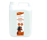 Groom Away Colour Enhancing Shampoo