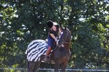 Bucas Riding Rug Zebra