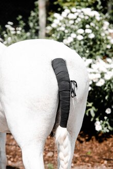 Equisential Tail Bandage