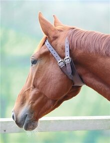 Shires Anti-crib Collar