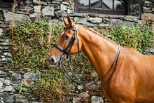 Mackey Equestrian Classic Double Bridle