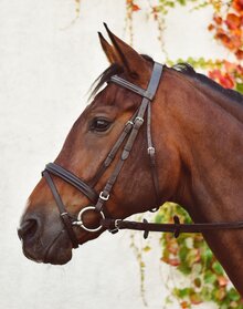 Equisential Bridle & Reins