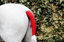 Equisential Tail Bandage