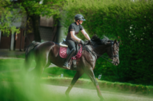 Pikeur AirLuxe Supreme Glam Long Visor Riding Helmet