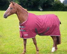 Shires Tempest Original 200