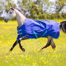 Shires Tempest Original 100 Turnout Rug