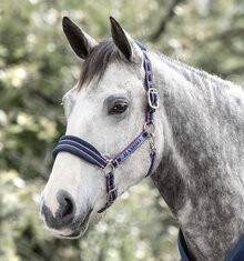 Horseware Grand Prix Padded Headcollar