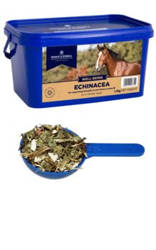 Dodson & Horrell Echinacea - 1Kg