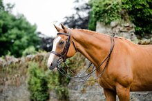 Mackey Equestrian Classic Double Bridle