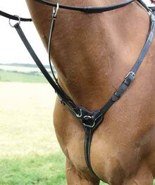 Shires tre punti Breastplate