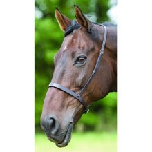 Shires Blenheim Cavesson Noseband