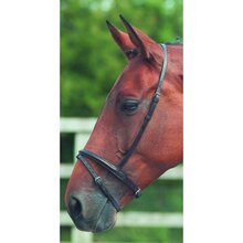 Shires Velociti GARA Flash Noseband