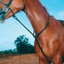 Shires Standing Martingale