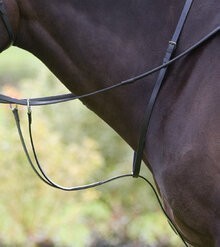 Shires Running Martingale