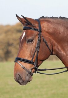 Shires Argenta Patent Dressage Bridle With Flash