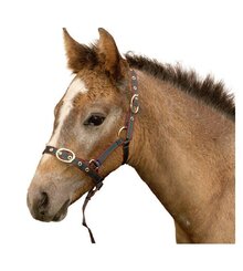 Equisential Nylon Headcollar