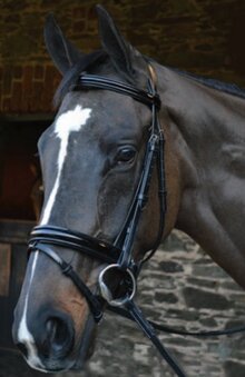 Celtic Equine "Eclipse" Patent Leather Bridle & Reins