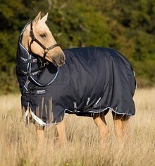 Horseware Amigo Bravo 12 Plus Turnout - Lite