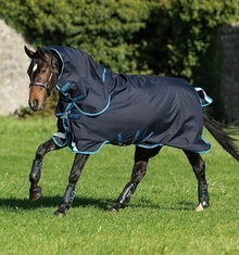 Horseware Amigo Bravo 12 Plus Bundle Turnout D/F