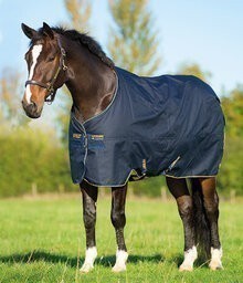 Horseware Amigo XL d'extérieur 250g - Medium