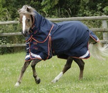 Premier Equine Buster Zero Turnout Rug - Pony