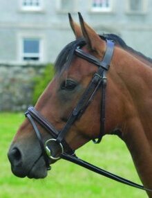 Celtic Equine Flash Bridle - Full Grain Leather