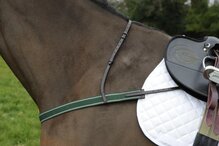 Celtic Equine Eventing/Racing Breastplate