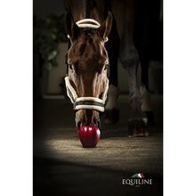 Equiline Tom Halter W/ Lambskin