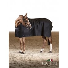 Equiline Walking Rug Wool