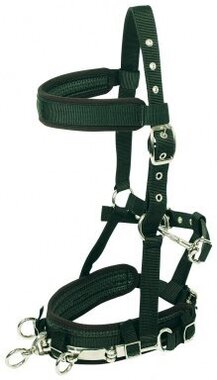 Equine Celtic Longe en nylon Cavesson