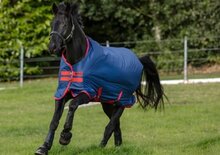 Horseware Amigo Mio Turnout  - Medium