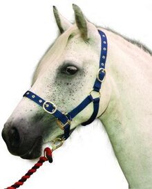 Mackey Quality Nylon Headcollar