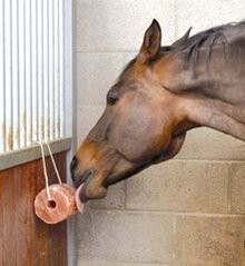 Equine America Himalayan Salt Lick