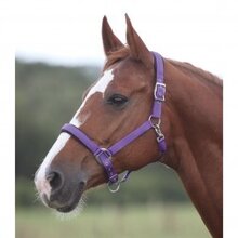 Shires Topaz Nylon Headcollar