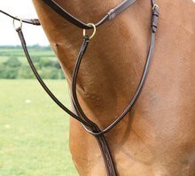 Shires Salisbury Martingale esecuzione